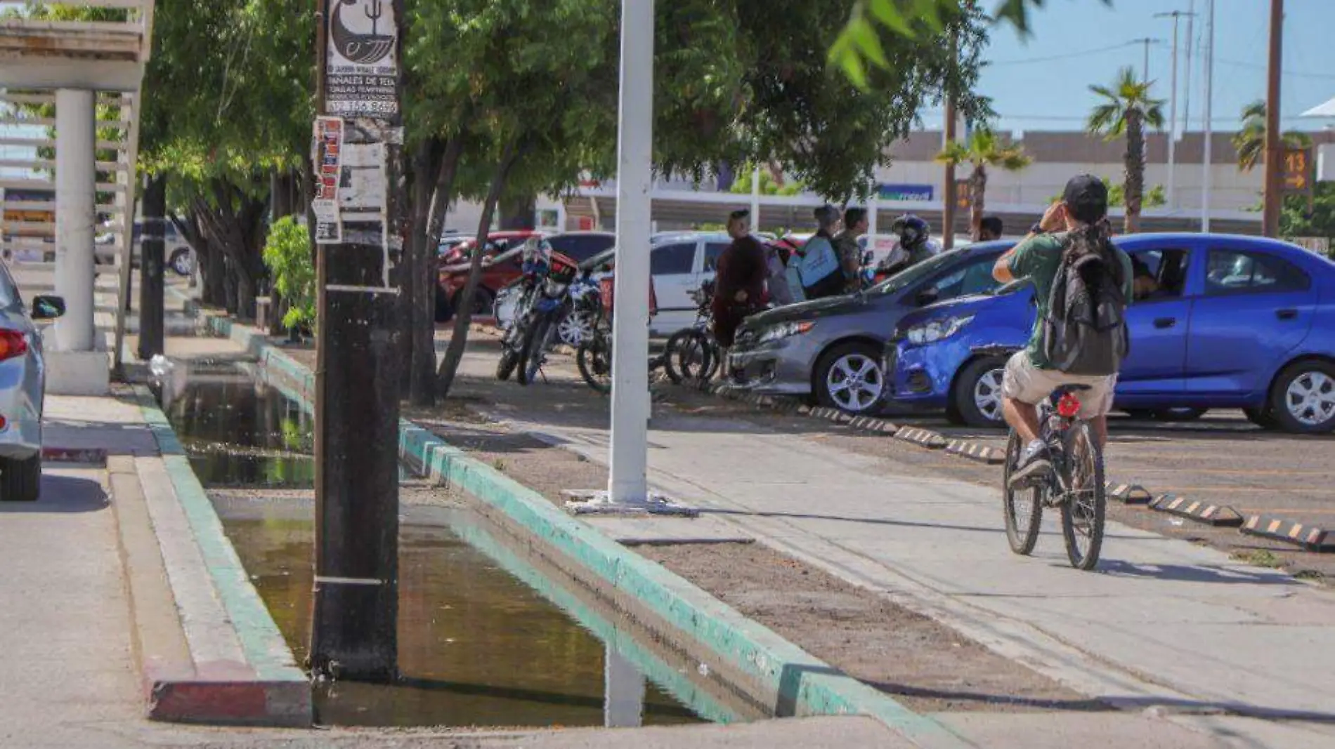 Ciclovía Forjadores